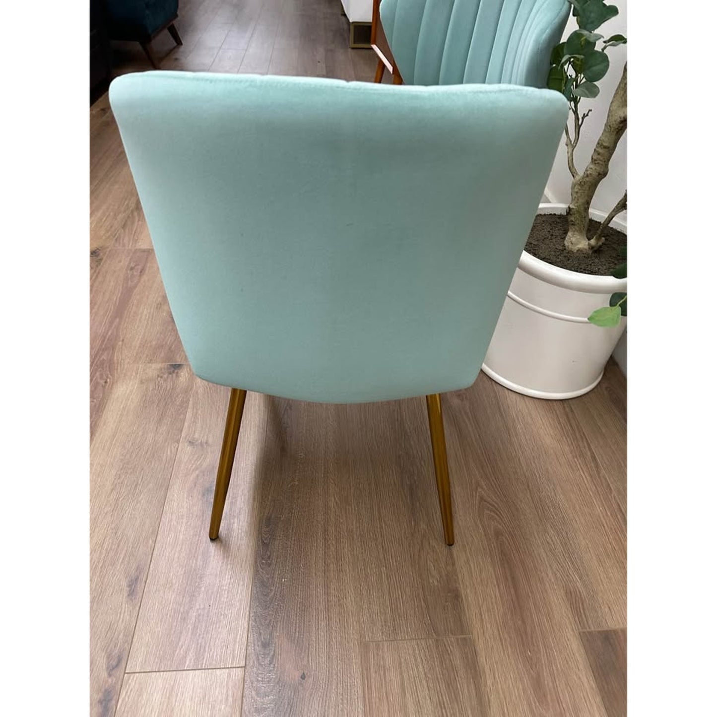 Milia Dining Chair Set of 2-Seafoam Green Dining Kitchen Living Velvet Upholstered Gold Leg