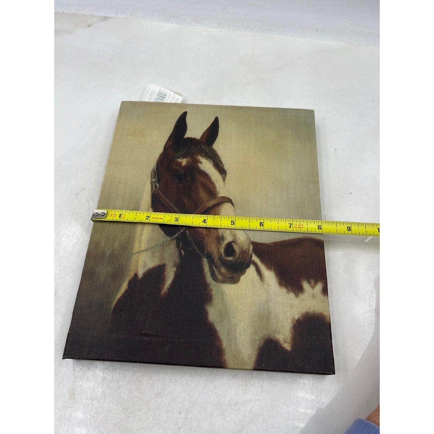 Stunning Horse Portrait Canvas Wall Art Brown White Equine Decor