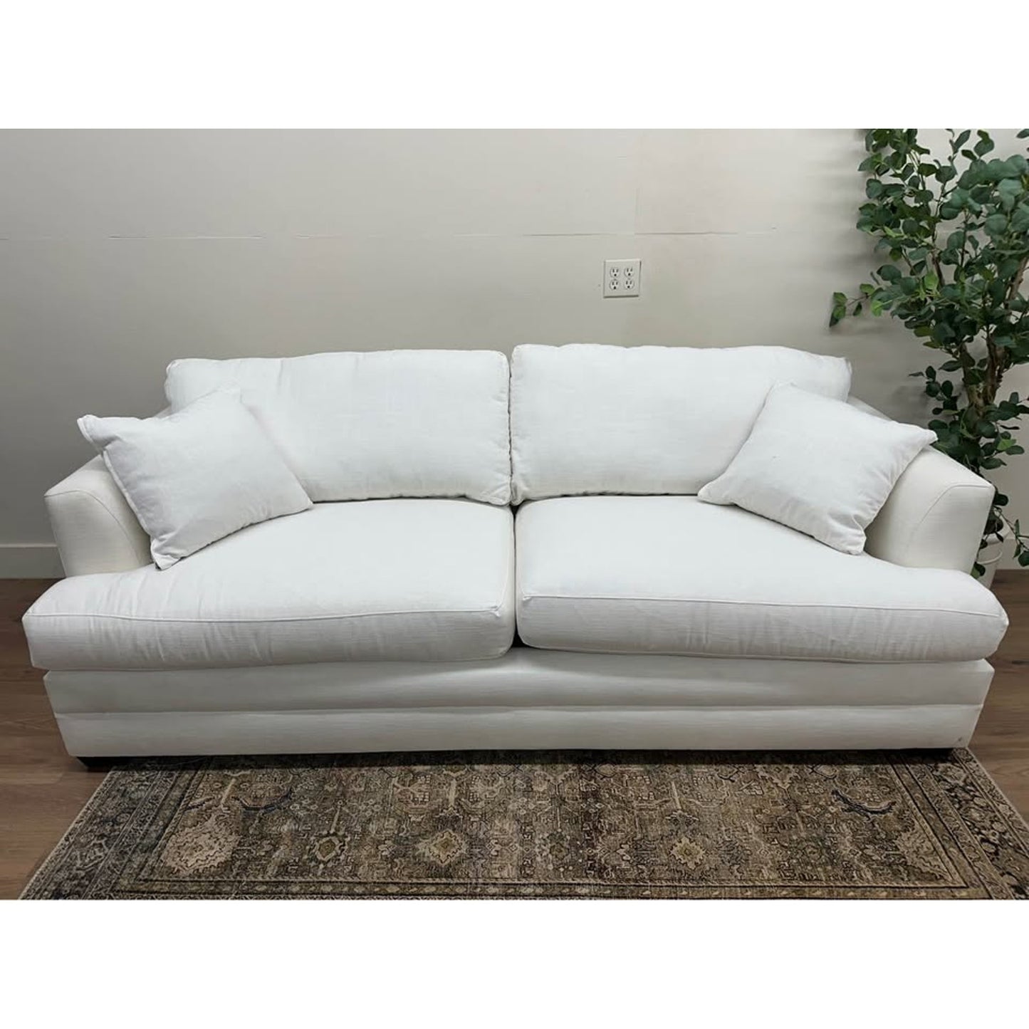 Edan Upholstered Queen Sleeper Sofa Couch Birch Lane White