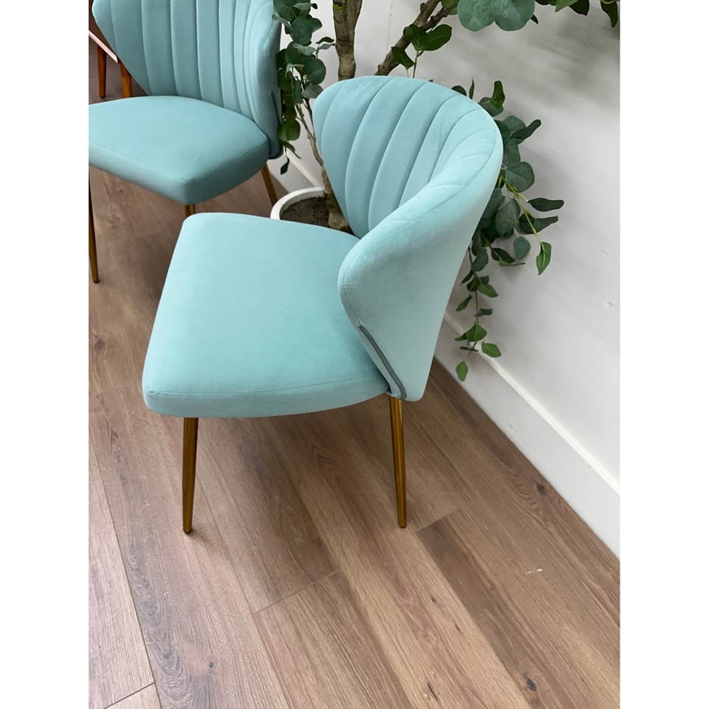 Milia Dining Chair Set of 2-Seafoam Green Dining Kitchen Living Velvet Upholstered Gold Leg