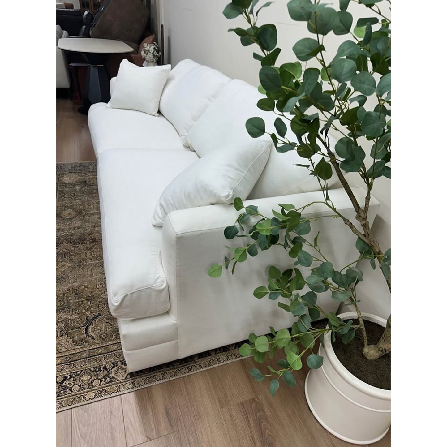 Edan Upholstered Queen Sleeper Sofa Couch Birch Lane White