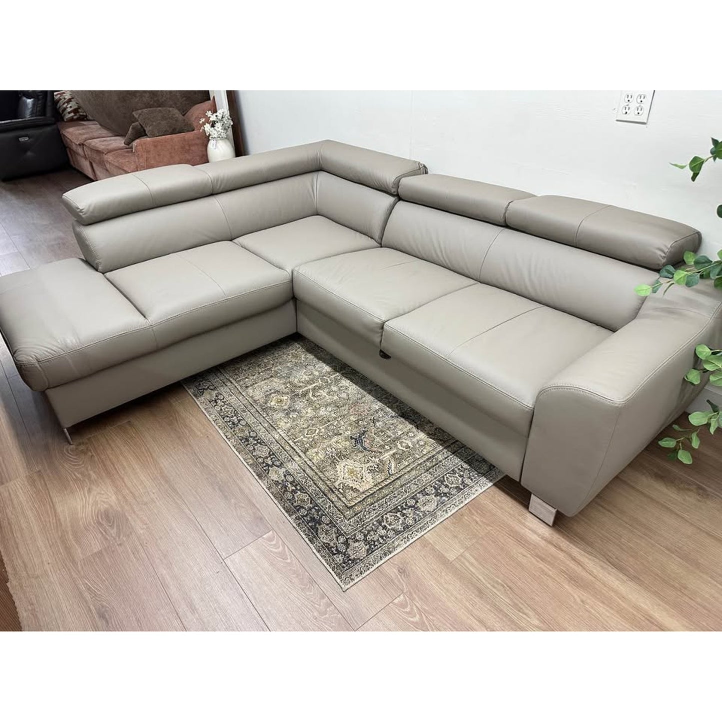 Tan Italian Leather Sleeper Sectional Pull Out Bed & Storage Europe Pewamo