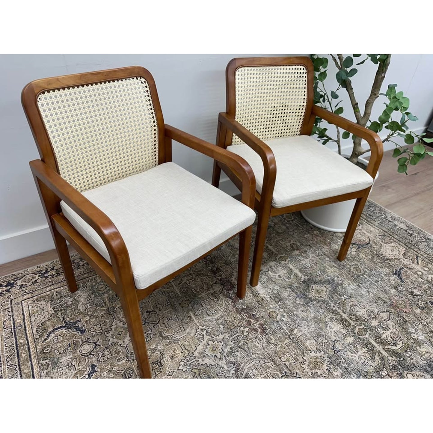 Antoine Rattan Cane Back Dining Chair -ACORN Set of 2