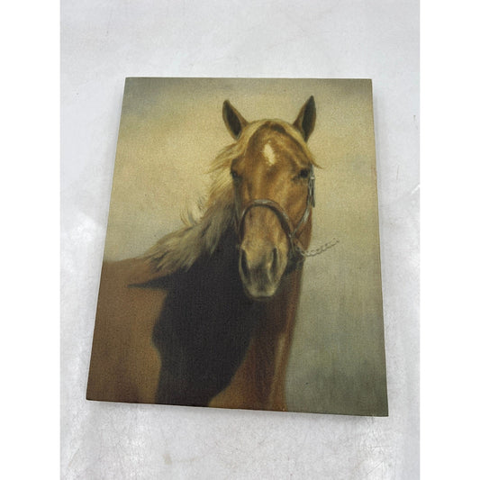 Horse Head Portrait Canvas Wall Art Horse Lover Gift Rustic Farmhouse Decor