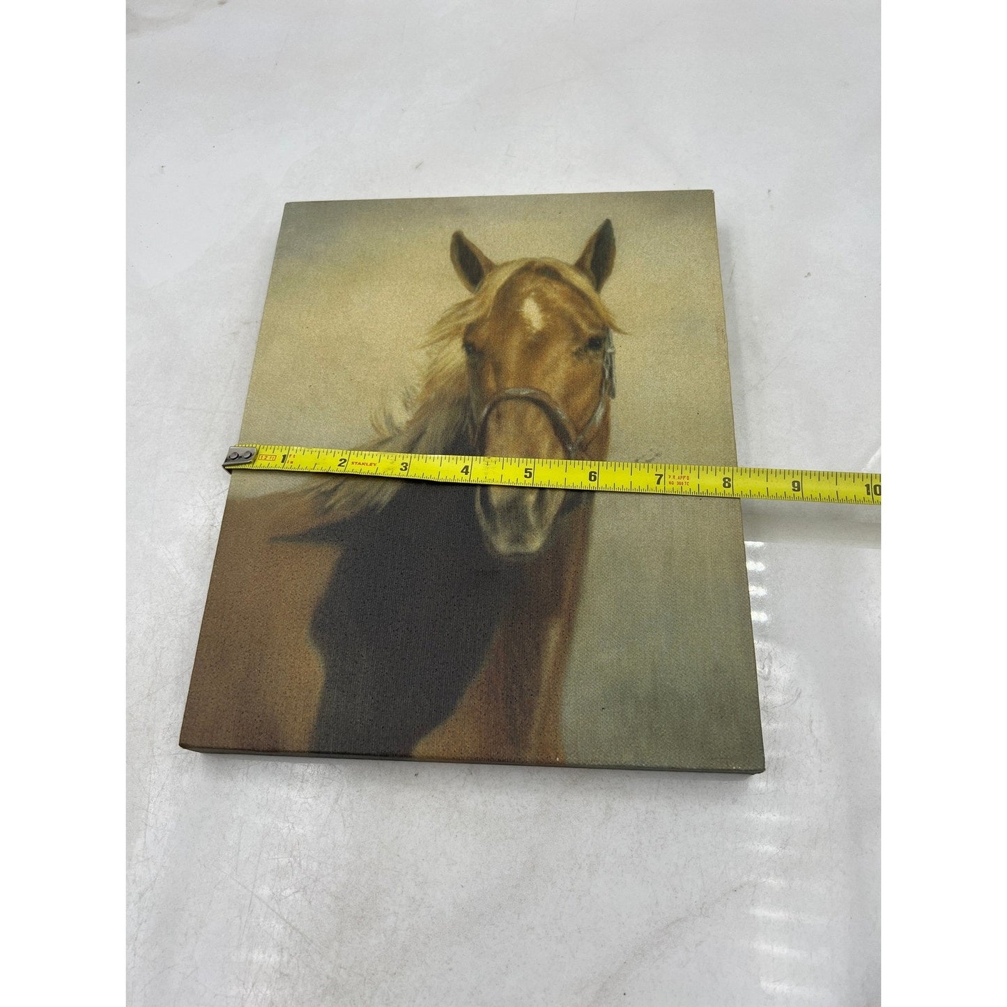 Horse Head Portrait Canvas Wall Art Horse Lover Gift Rustic Farmhouse Decor
