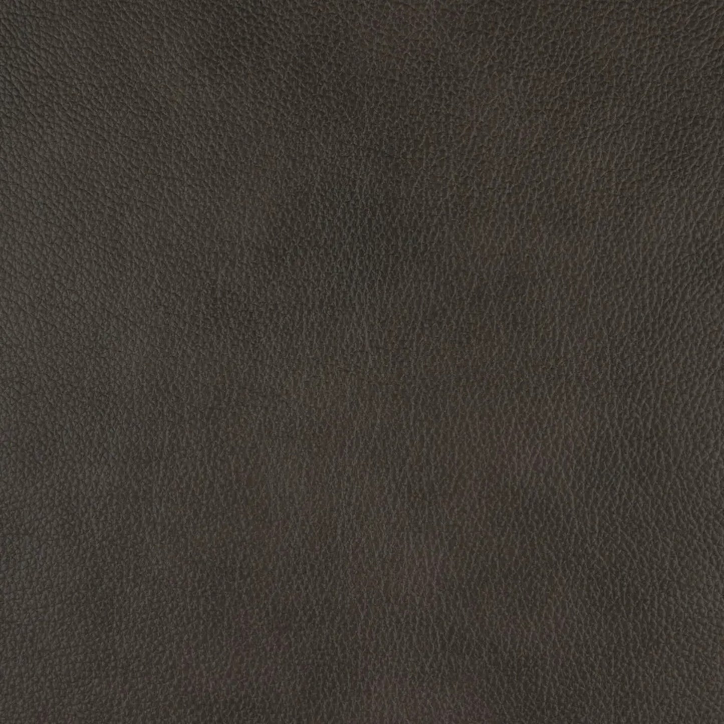 Enjolie Modern Sofa Couch Brown Top Grain Leather Power Recline Adjustable Headrests USB Charging