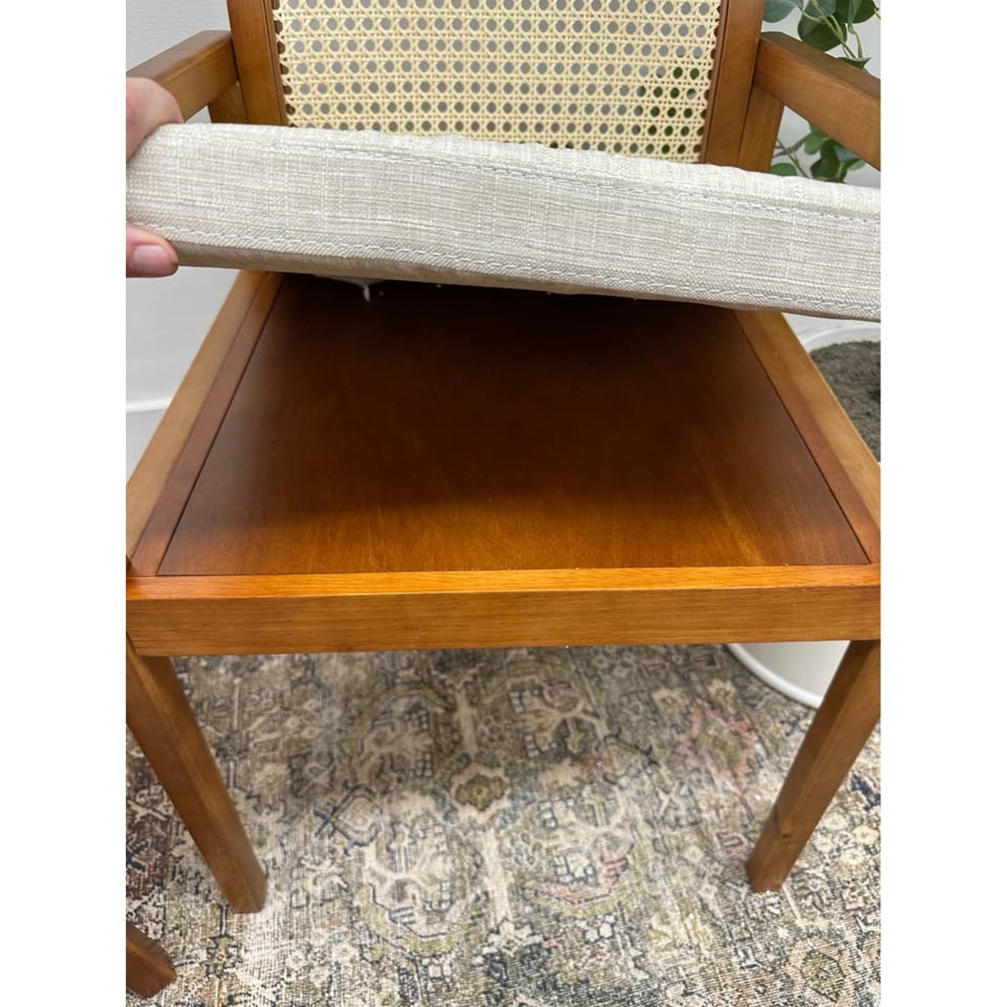 Antoine Rattan Cane Back Dining Chair -ACORN Set of 2