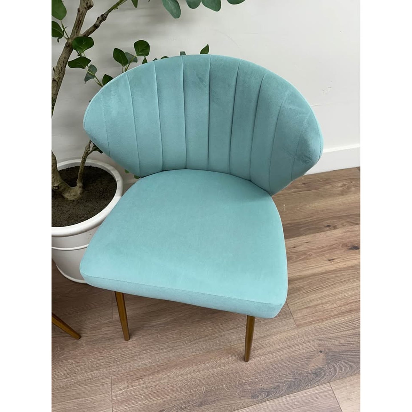 Milia Dining Chair Set of 2-Seafoam Green Dining Kitchen Living Velvet Upholstered Gold Leg