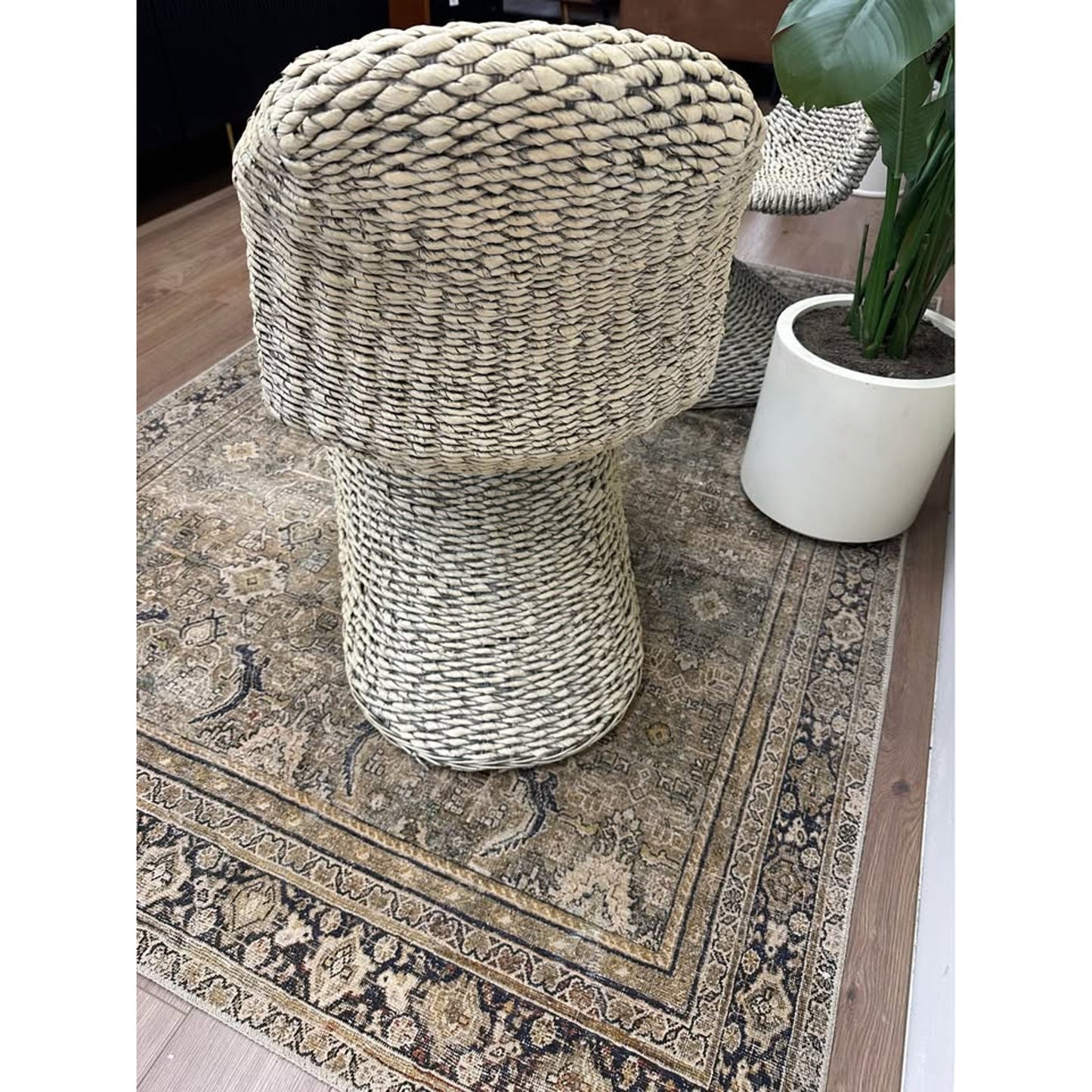 Daughtery Wicker Dining Side Chair Joss & Main Set of 2