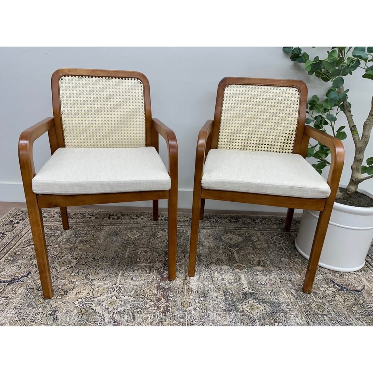 Antoine Rattan Cane Back Dining Chair -ACORN Set of 2
