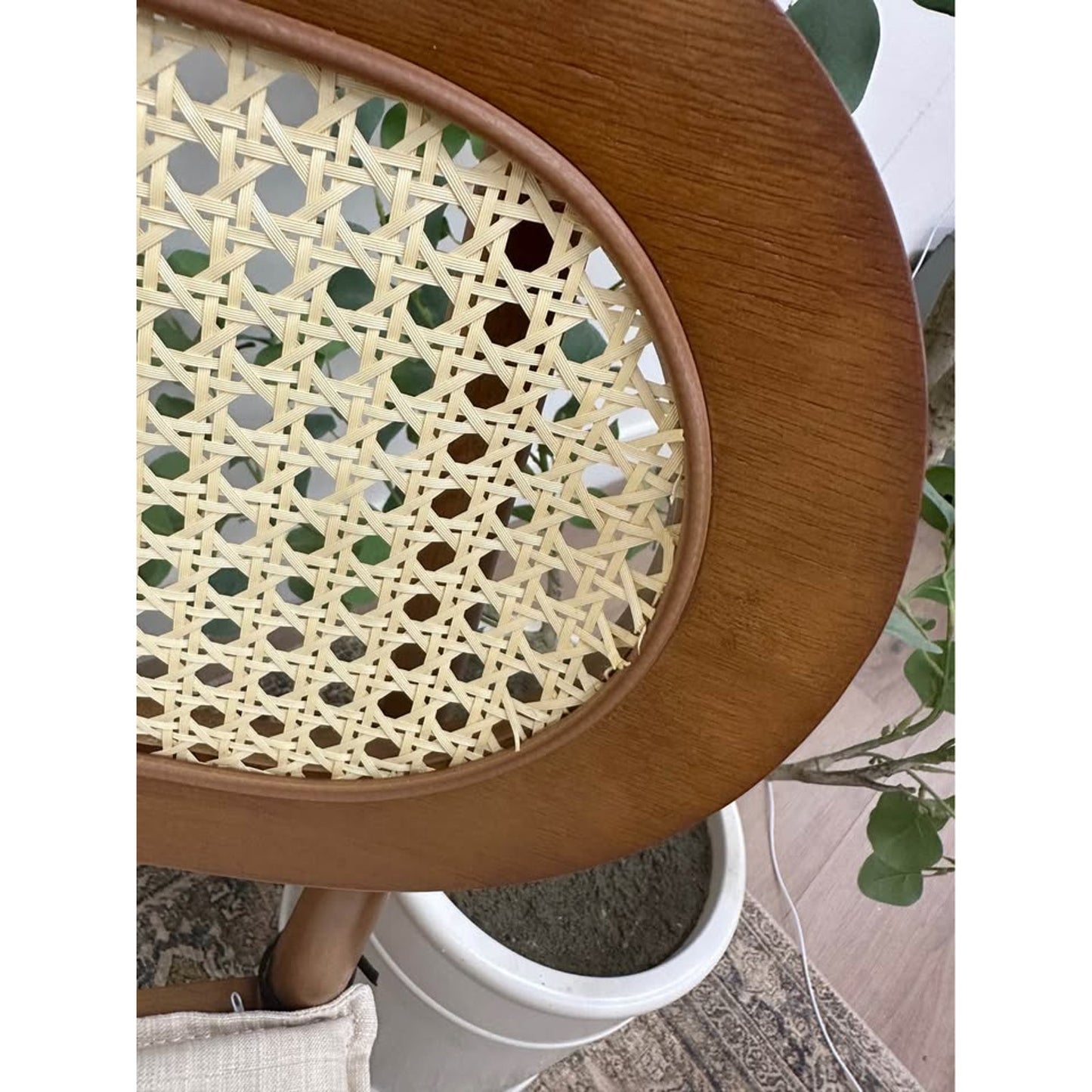 Konstantin Rattan Cane Back Dining Chairs Kitchen Chair with Cushion -Brown