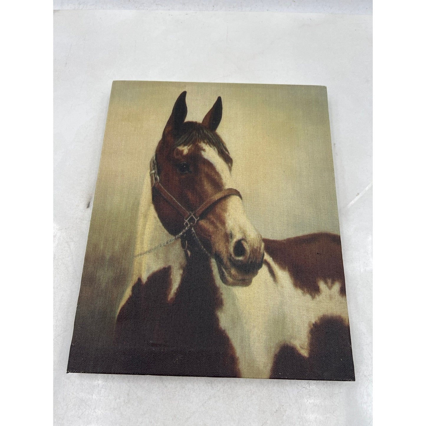 Stunning Horse Portrait Canvas Wall Art Brown White Equine Decor