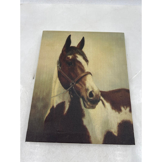 Stunning Horse Portrait Canvas Wall Art Brown White Equine Decor