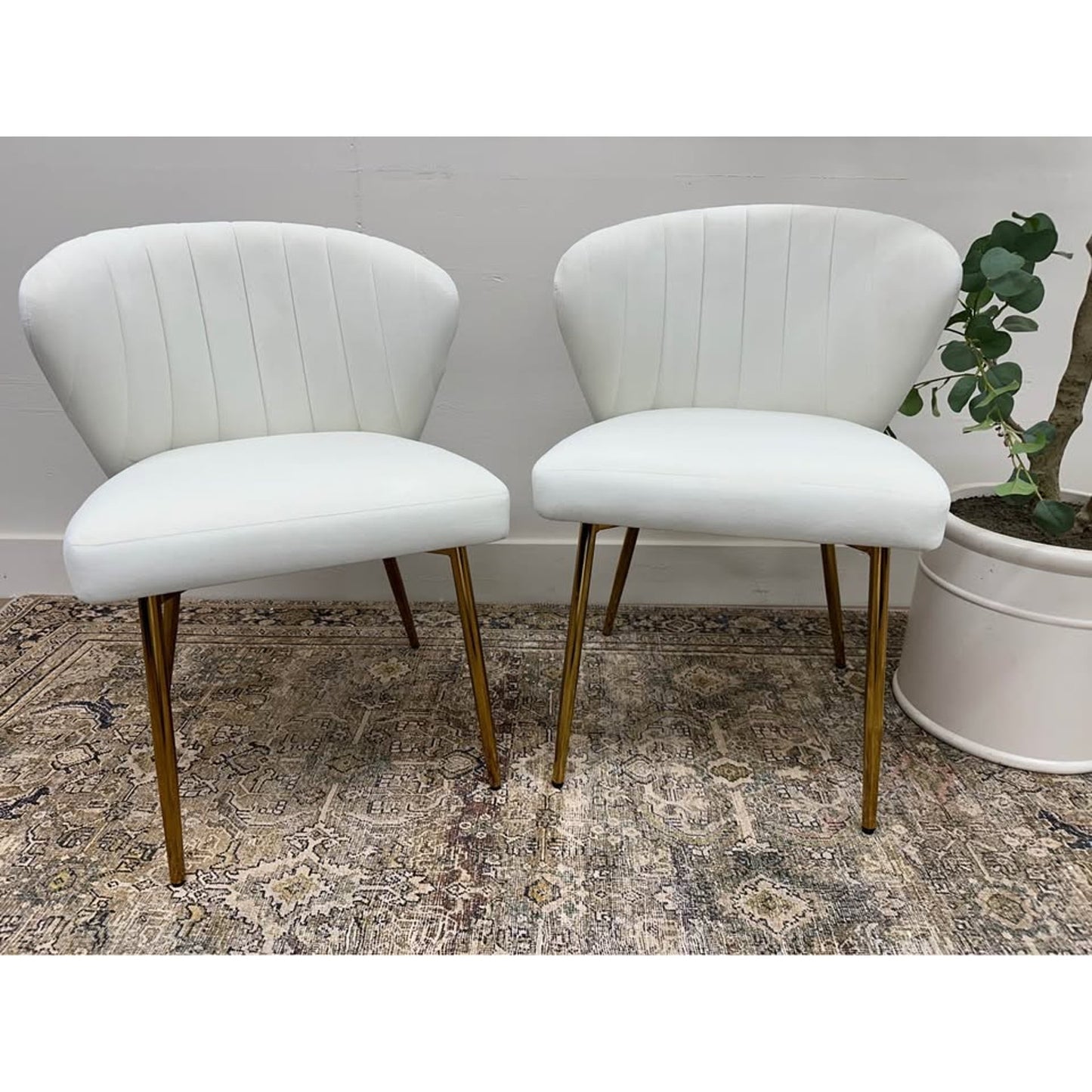 Milia Dining Chair Set of 2-IVORY Dining Kitchen Living Velvet Upholstered Gold Leg Set of 2
