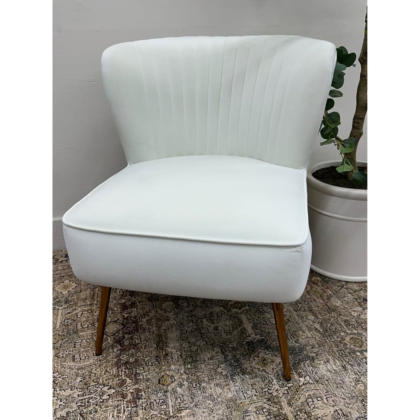 Donata Barrel Chair IVORY Upholstered Scalloped Back Velvet Gold Legs Side Chair