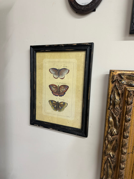 Vtg wood framed butterfly picture