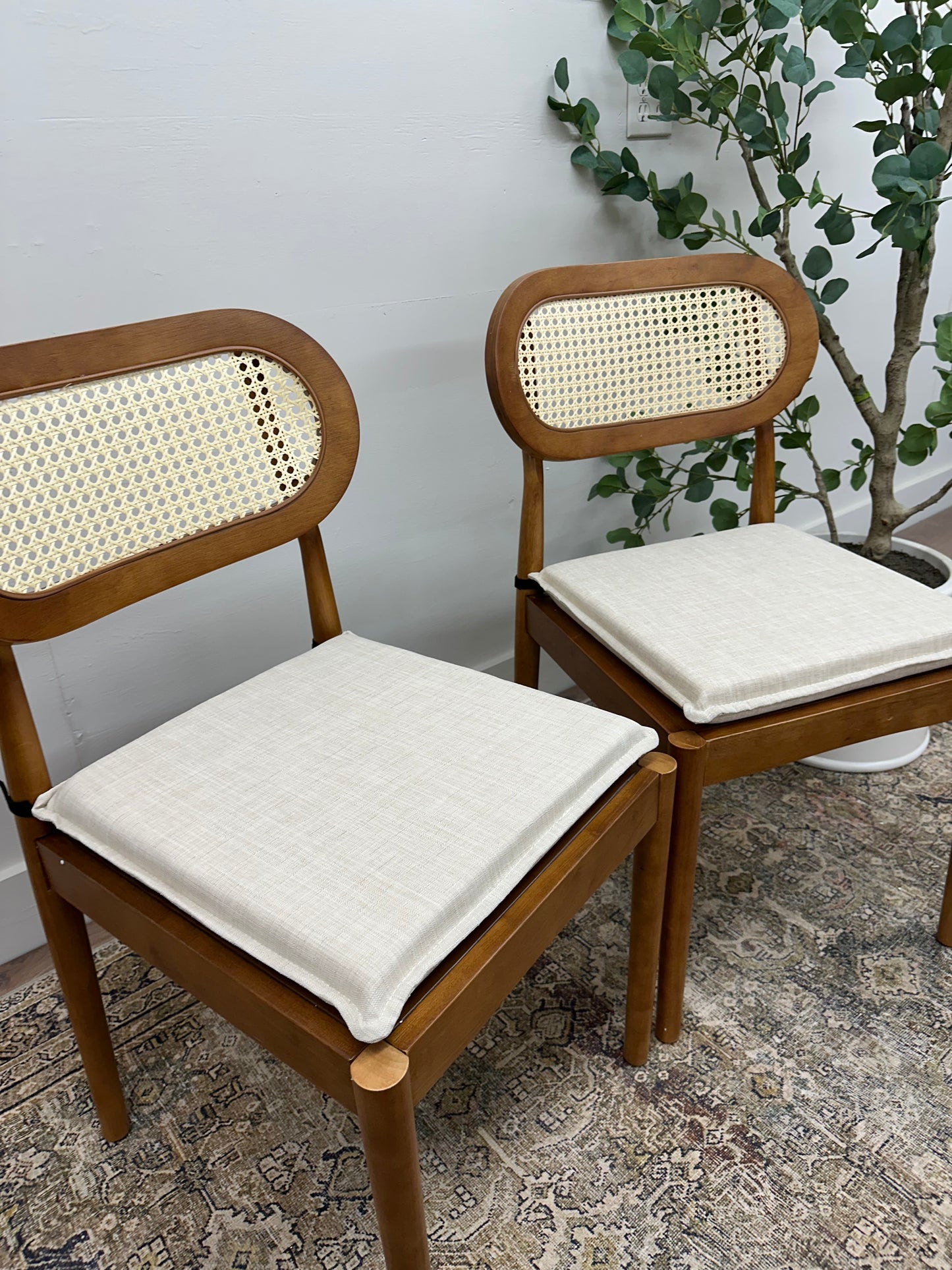 Acorn Modern Rattan Cane Dining Chair with Removable Cushion (Set of 2)