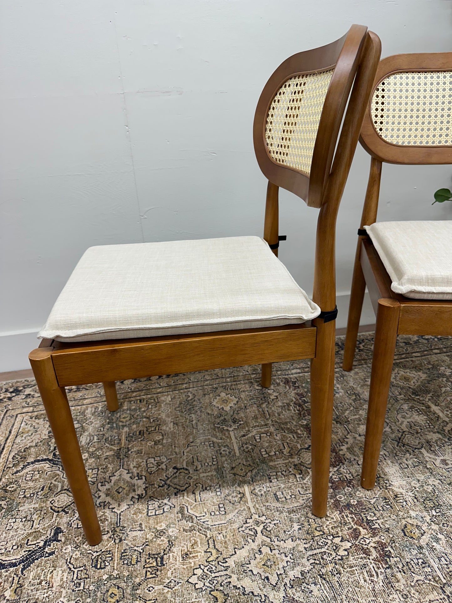 Acorn Modern Rattan Cane Dining Chair with Removable Cushion (Set of 2)