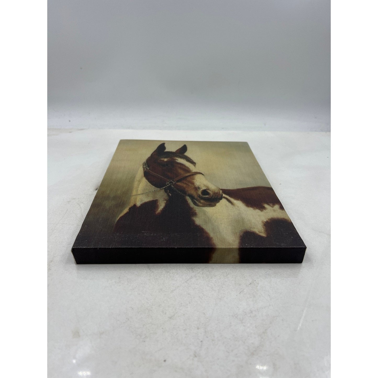 Stunning Horse Portrait Canvas Wall Art Brown White Equine Decor