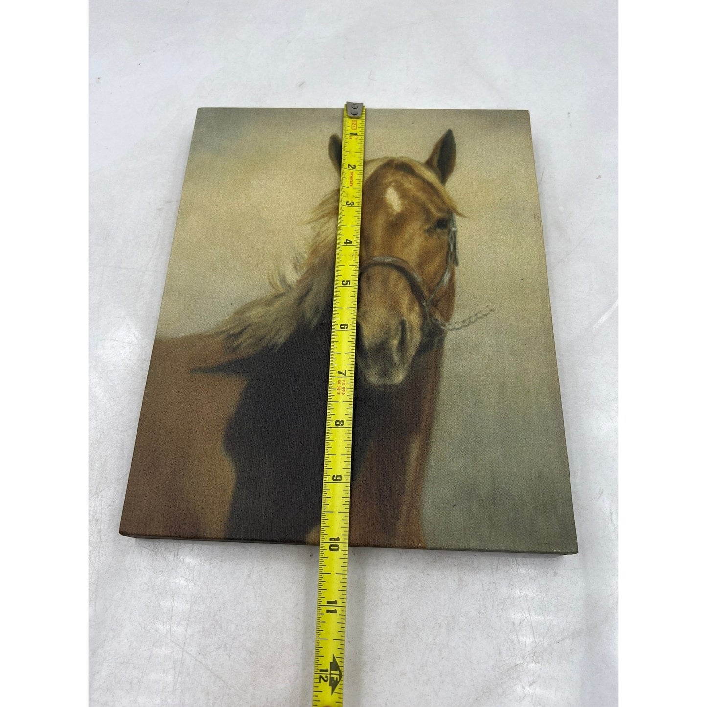 Horse Head Portrait Canvas Wall Art Horse Lover Gift Rustic Farmhouse Decor