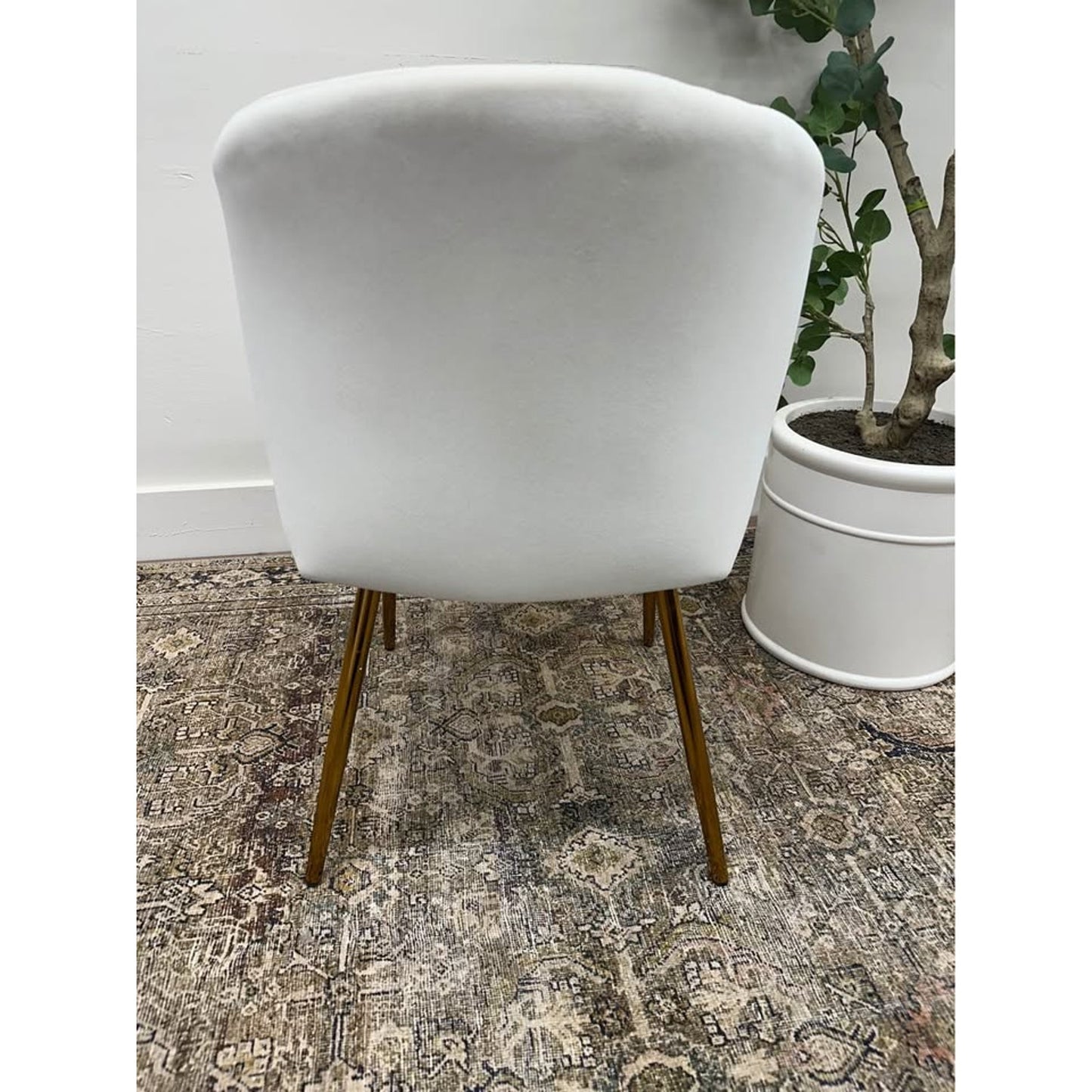 Milia Dining Chair IVORY Dining Kitchen Living Velvet Upholstered Gold Leg