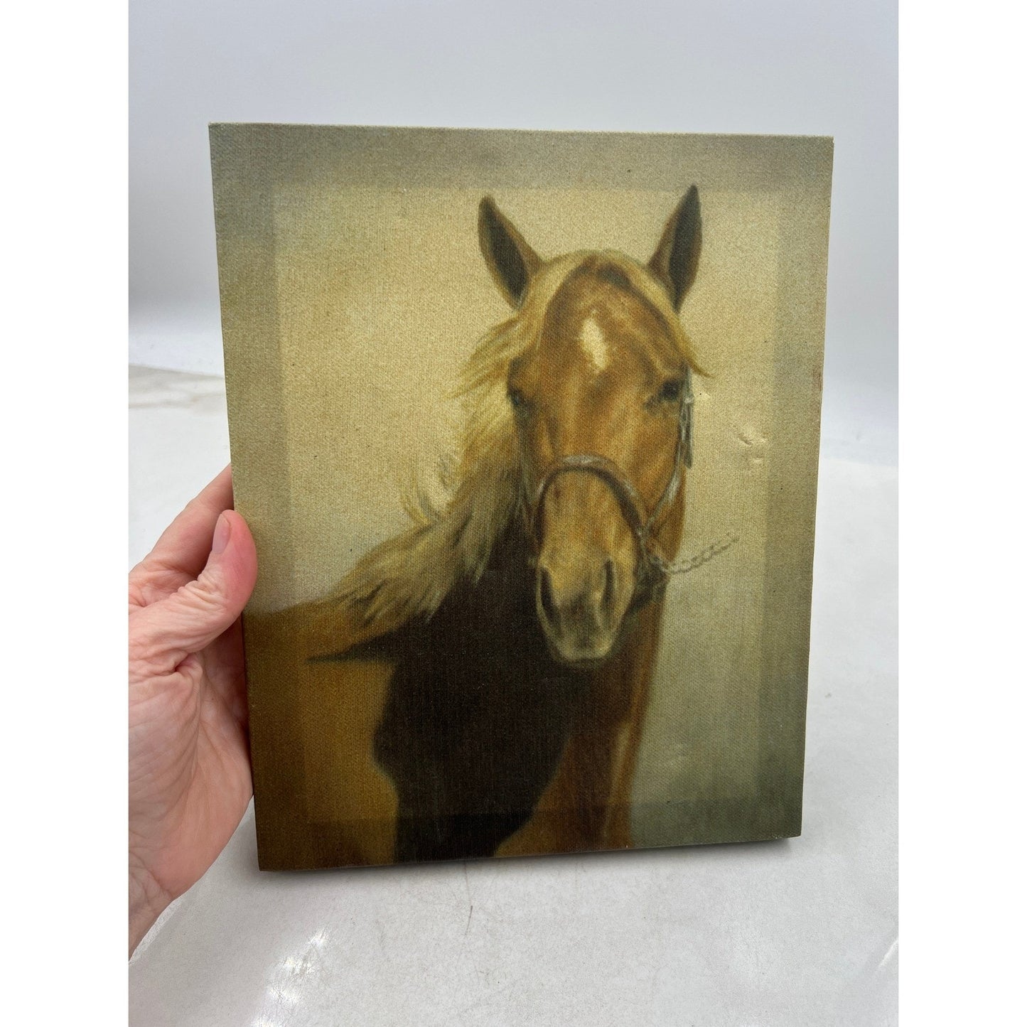 Horse Head Portrait Canvas Wall Art Horse Lover Gift Rustic Farmhouse Decor