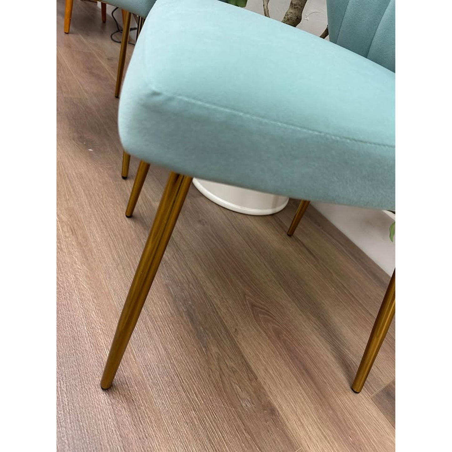 Milia Dining Chair Set of 2-Seafoam Green Dining Kitchen Living Velvet Upholstered Gold Leg