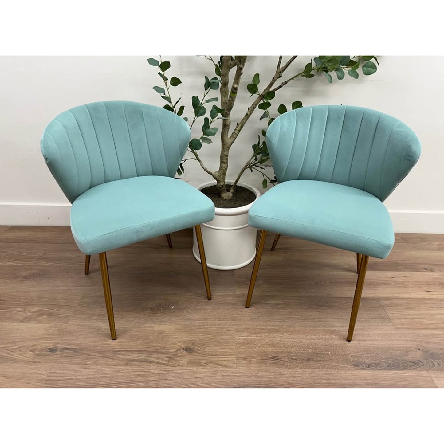 Milia Dining Chair Set of 2-Seafoam Green Dining Kitchen Living Velvet Upholstered Gold Leg