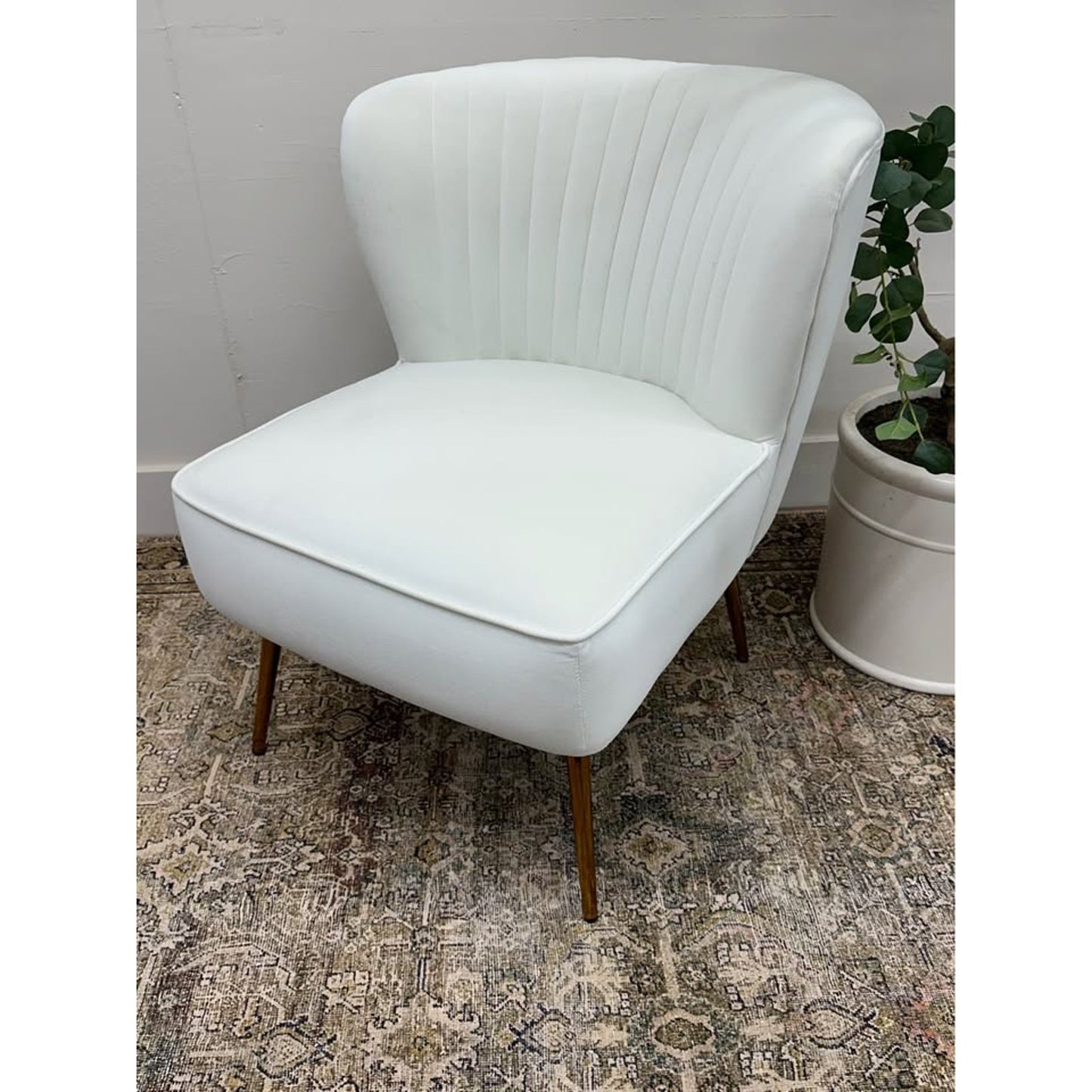 Donata Barrel Chair IVORY Upholstered Scalloped Back Velvet Gold Legs Side Chair