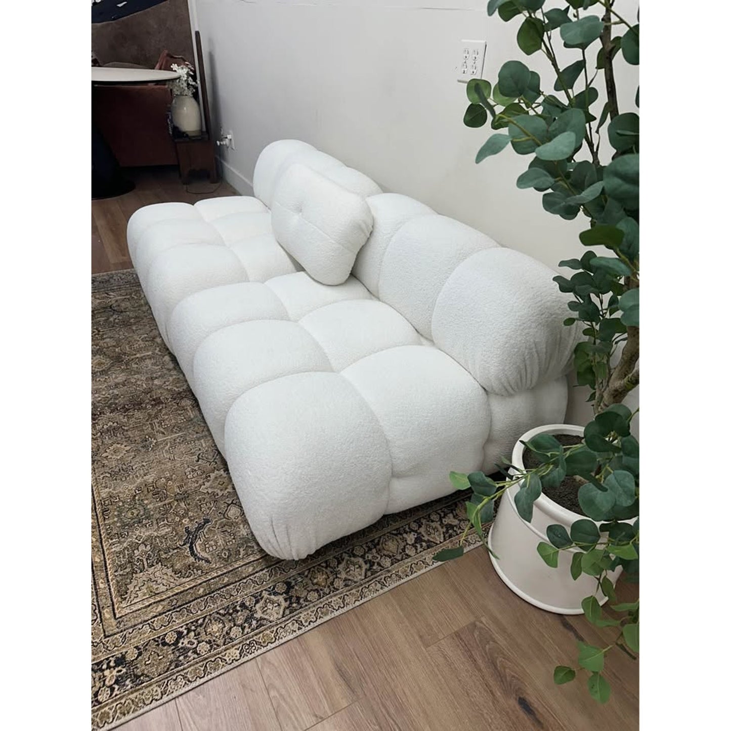 Sigma Upholstered Sofa By AllModern Bubble Couch Off White Boucle