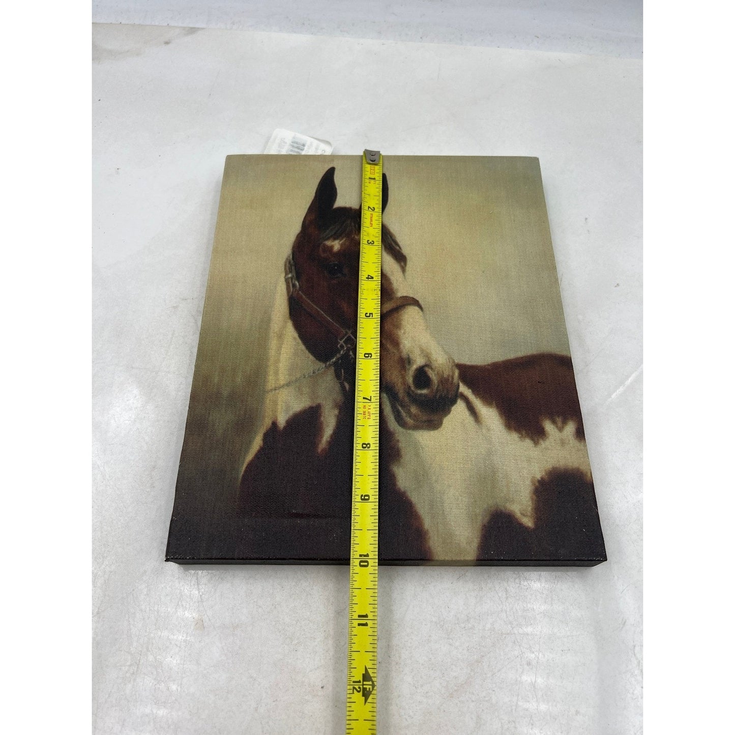 Stunning Horse Portrait Canvas Wall Art Brown White Equine Decor