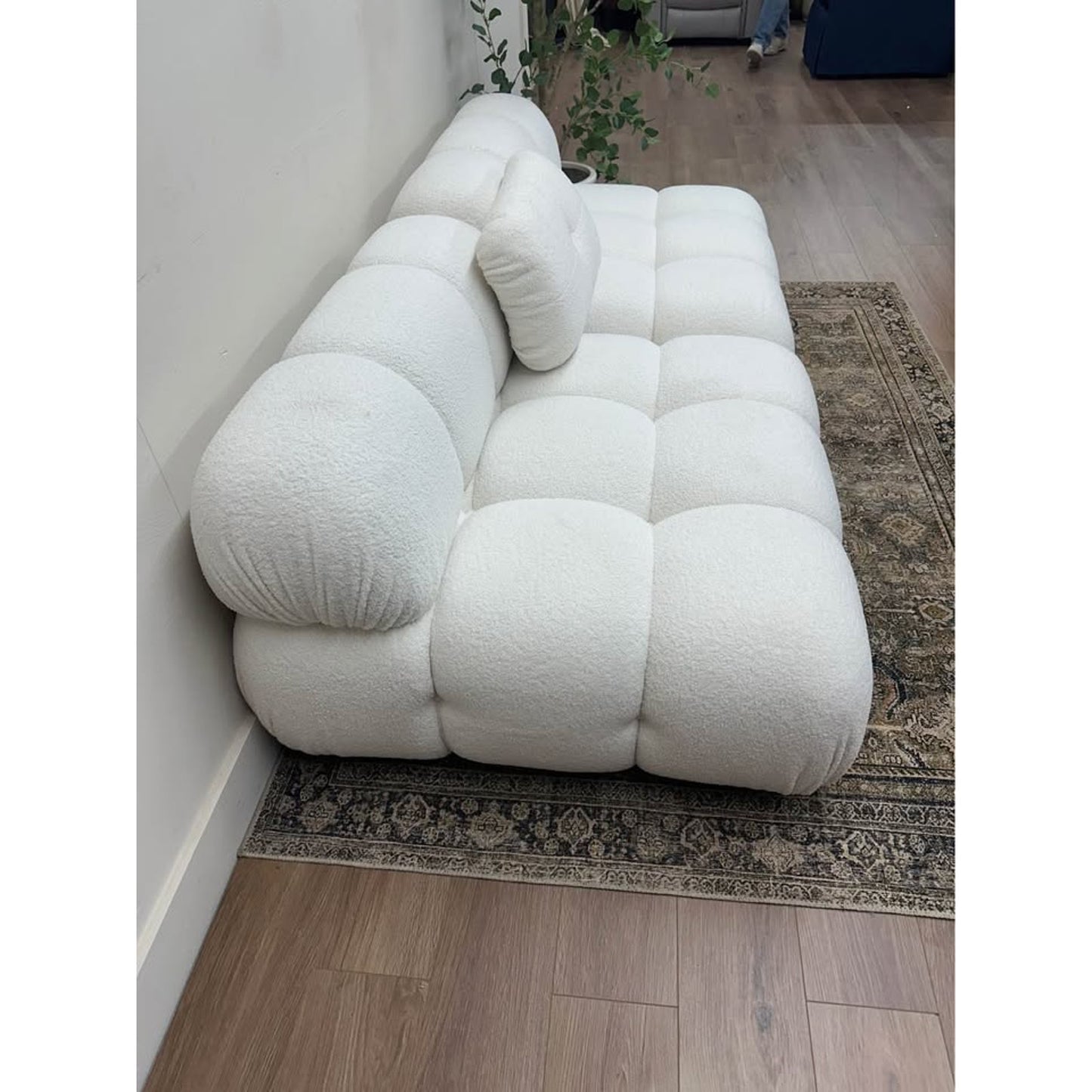 Sigma Upholstered Sofa By AllModern Bubble Couch Off White Boucle