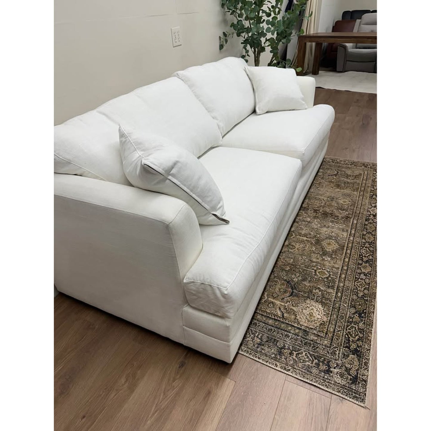 Edan Upholstered Queen Sleeper Sofa Couch Birch Lane White