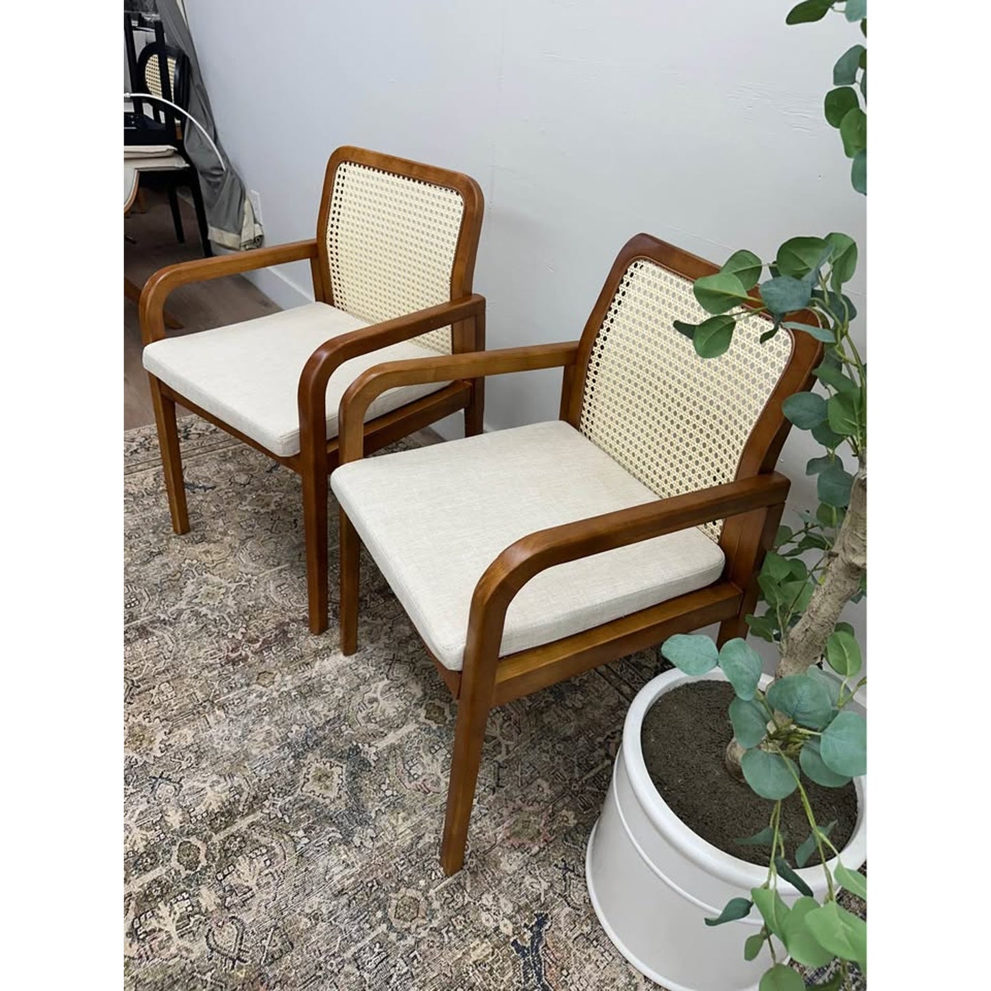 Antoine Rattan Cane Back Dining Chair -ACORN Set of 2